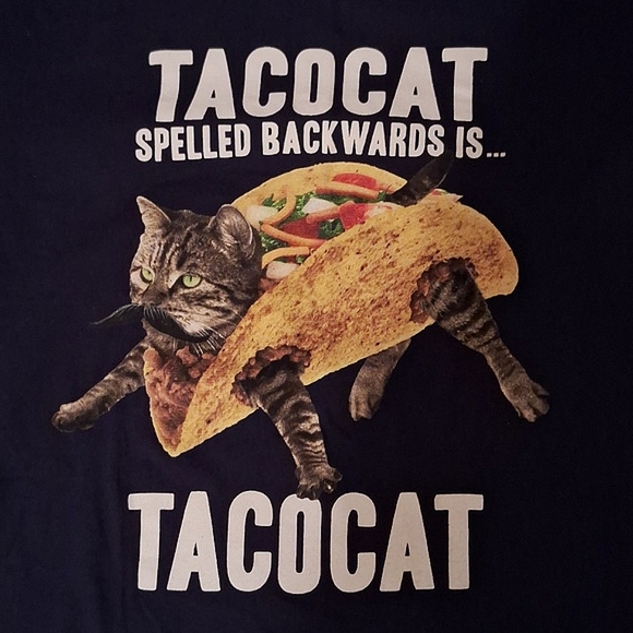 Taco Cat Graphic Large Tee - Picture 2 of 4